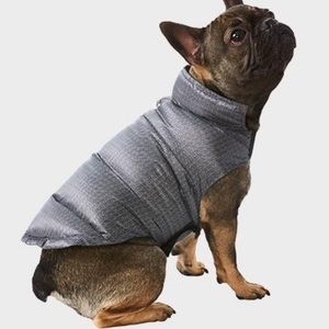 Dog puffy coat from 32 degrees